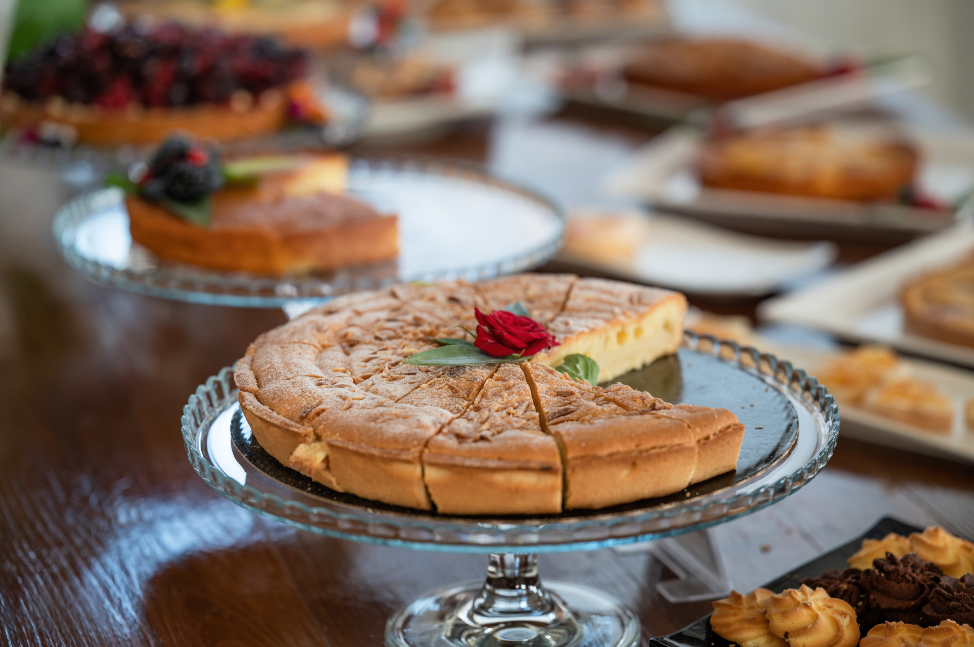 media.Z6ii, Hotel Baia Imperiale, Rimini (19)-DENOISED